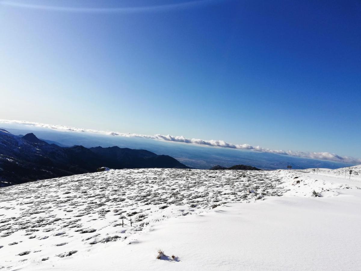 Park Monte Gorbea Apartment *